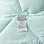 Набор стеганое одеяло и подушки 50x70 Tropical Мята в Leron - фото 3