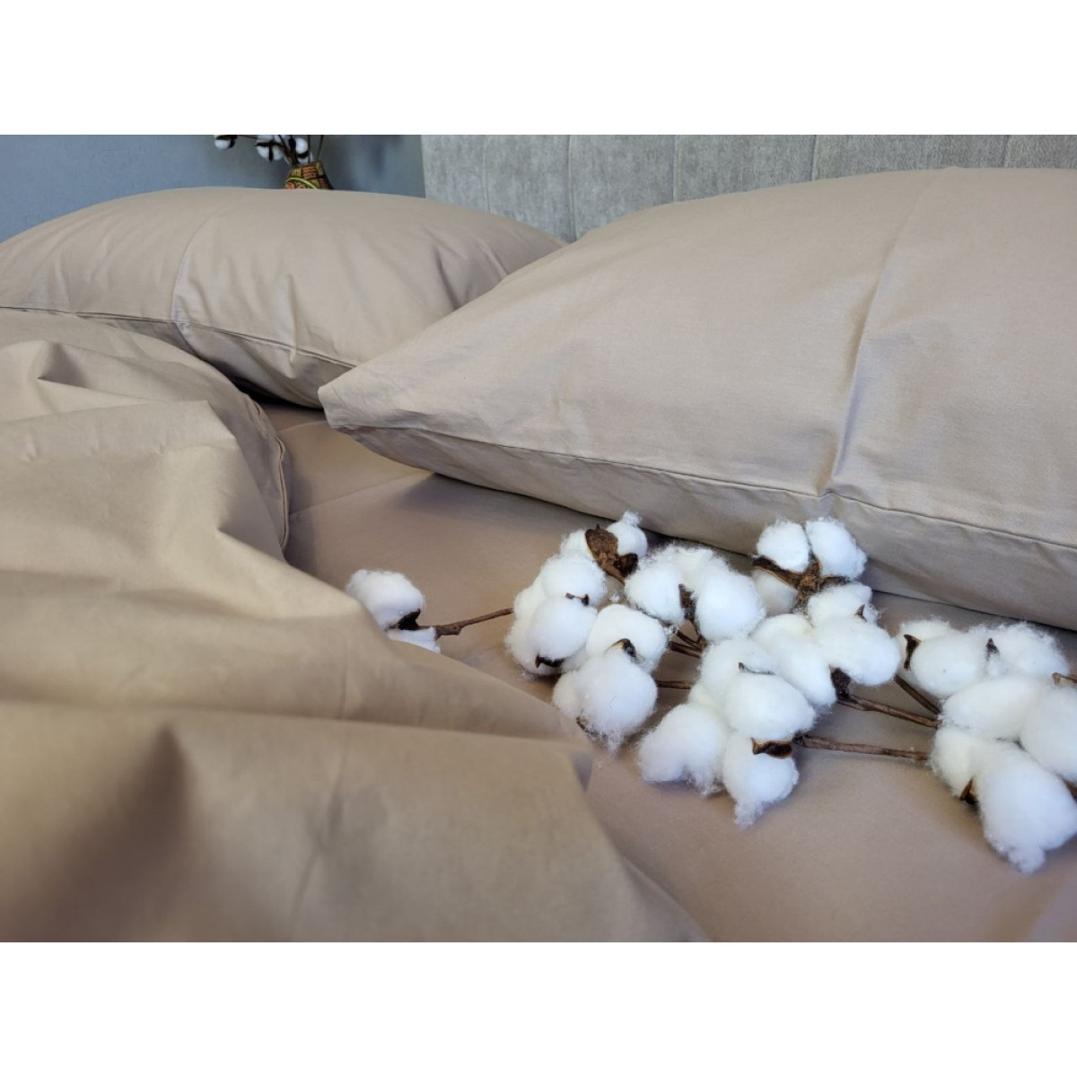 Постіль 100% бавовна Coffee Milk Solo № S122 Turkish Cotton однотонна