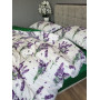 КПБ з сатину люкс Premium Lavender Green в Leron - фото 4